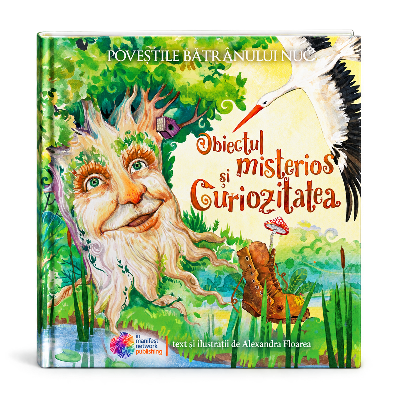Cartea Obiectul misterios și Curiozitatea